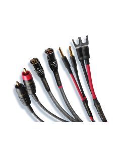 Audience Au24 SX Cables