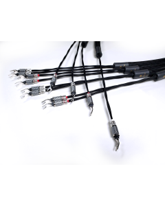 In Bi-Wire Configuration