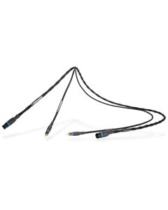 Atmosphere SX Subwoofer.
