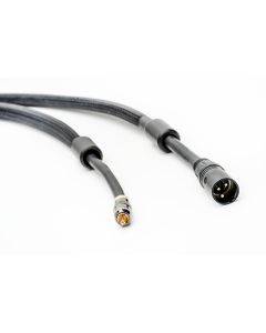 Expressivo AG Interconnect (Pair)