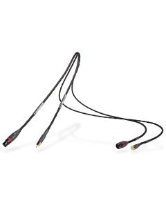 Foundation SX Interconnect (Pair)