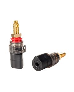 Furutech FT-807 Binding Posts Short for Amp Side Gold