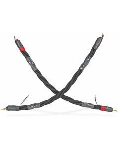 Galileo Discovery Jumpers (Set of 4)