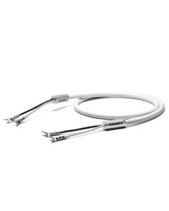 Oyaide Tunami II SP-Y Speake Cable - SPSL Spade Lugs