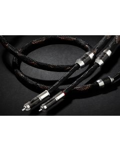 Project V1-L Interconnect (Pair)