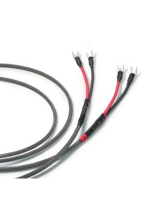 Audience AU24 SX Speaker Cable